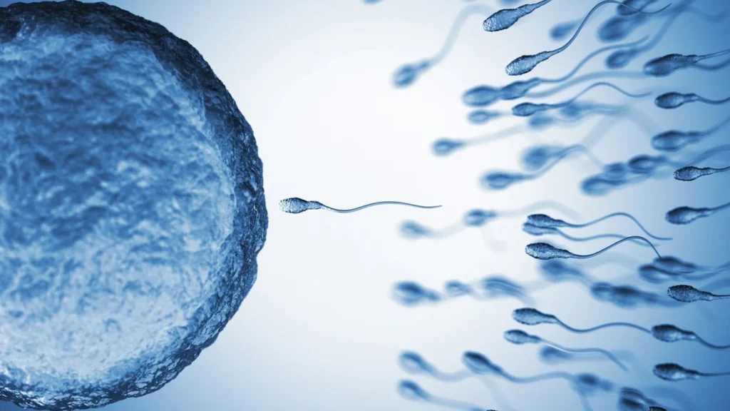 Un estudio halla 42 compuestos químicos de uso cotidiano en el semen humano que podrían afectar a la salud reproductivaEuropa Press