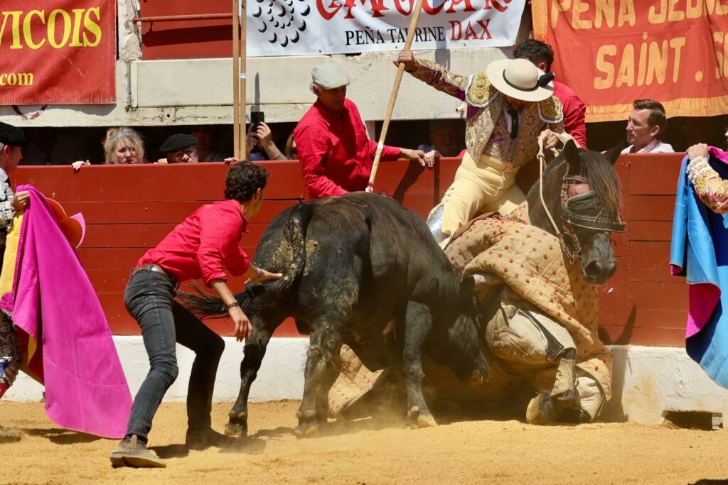 El toro Langosto, de Dolores Aguirre, empuja al caballo de Puchano.
