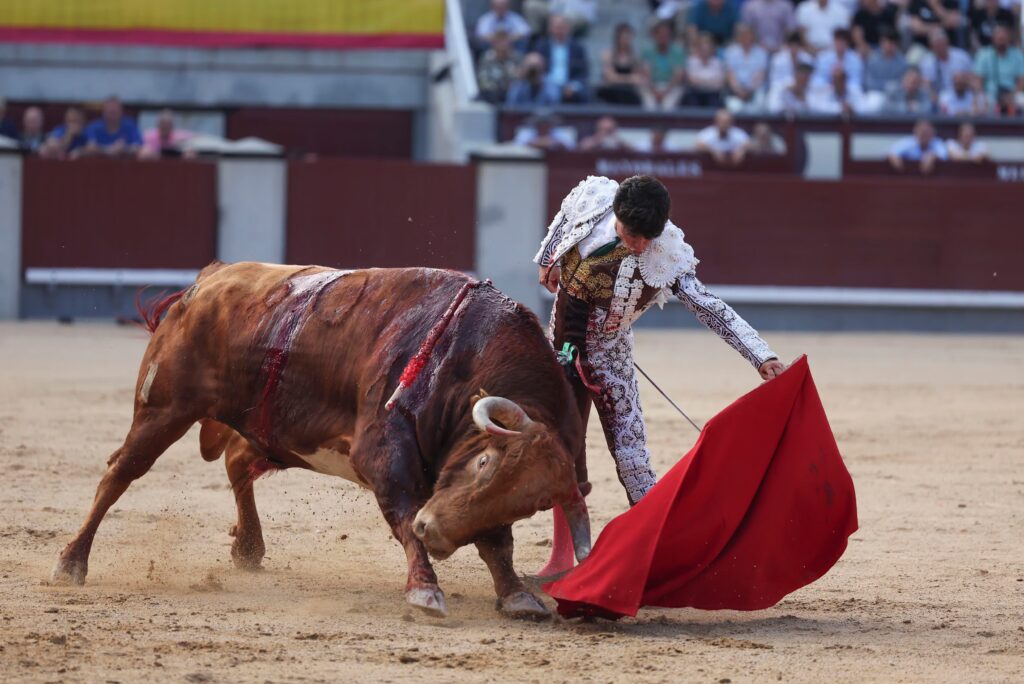 Natural de Jarocho al primer toro de su lote.