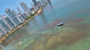 Esto dijo Dimar sobre la extensa mancha cobriza que tiñó la bahía de Cartagena: se adelantan los análisis de laboratorio