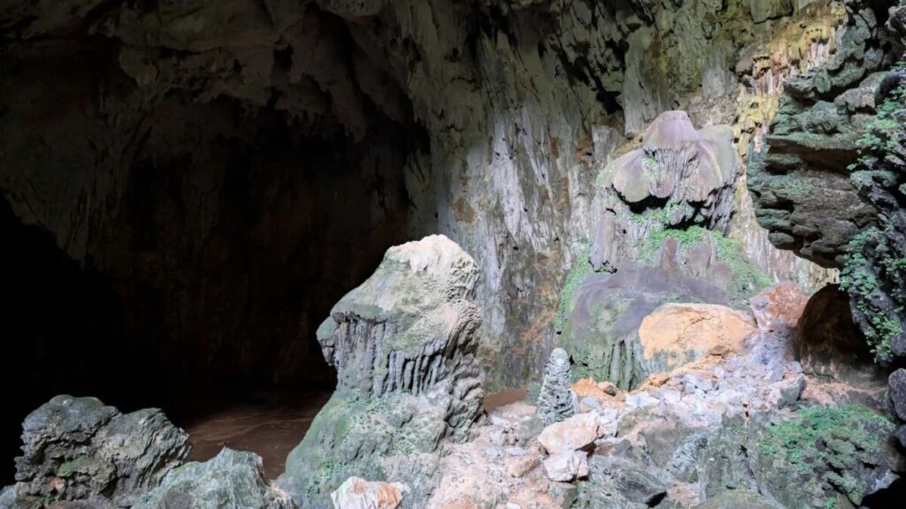 Exploradores descienden a una cueva inundable en Francia y descubren marcas de dinosaurios donde nadie imaginaba