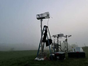 Formas de vida en la niebla