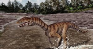 Hallan en Nuevo México una criatura prehistórica que corría como un dinosaurio y no tenía dientes, aunque escondía un misterio evolutivo inesperado
