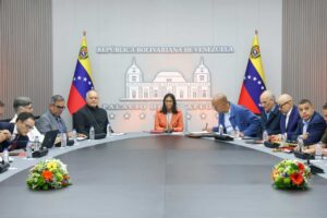 Reestructuración gubernamental o el desmontaje de un Estado “amorfo” e ineficiente: lectura de expertos  – Efecto Cocuyo