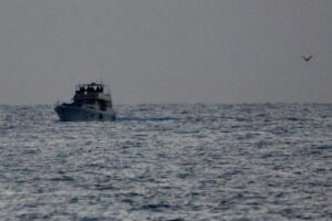 Israel deporta a «todos los activistas extranjeros» de la flotilla interceptada en el mar Mediterráneo | europapress.es