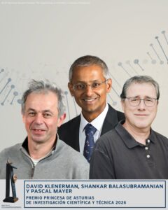 Klenerman, Balasubramanian y Mayer, Premio Princesa de Asturias de Investigación Científica 2026 | europapress.es