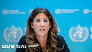 La OMS afirma que el brote de hantavirus no marca el inicio de una pandemia, tras confirmarse 5 casos en el crucero que se dirige a España