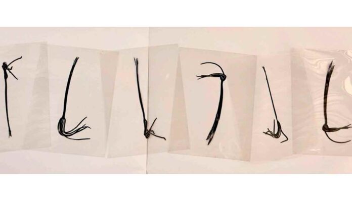 La Sala Mendoza inaugurará “La forma que espera”, propuesta visual de Luisa Brillembourg