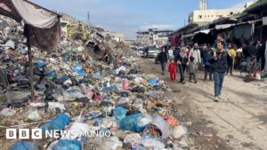 «Las ratas están saliendo de las tiendas»: los campamentos de Gaza invadidos por roedores transmisores de enfermedades