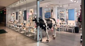 Las tiendas de la vaca Ale-Hop facturan 281 millones tras crecer más de un 10%