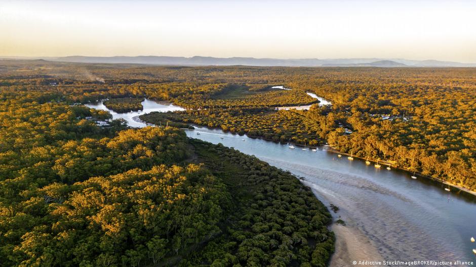 Nuevo estudio alerta sobre extinción masiva de plantas