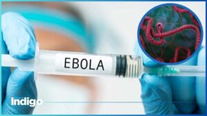 OMS reconoce alarma por magnitud y rápidez del brote de ébola