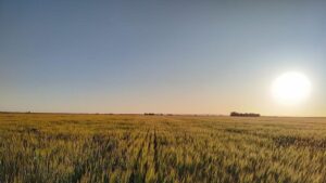 Oriente Medio | La Comisión da luz verde a 500 millones en ayudas del gobierno a los agricultores por el aumento de los costes de los fertilizantes | elperiodico.com