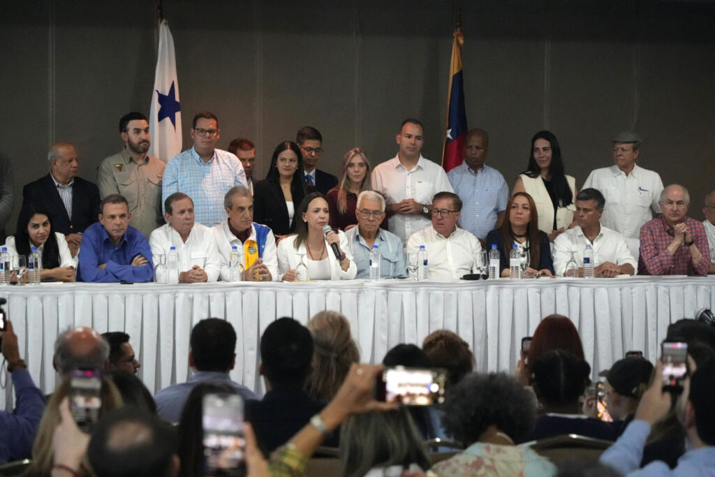 PUD agradeció "gesto de desprendimiento" de Edmundo González tras proponer nuevas presidenciales