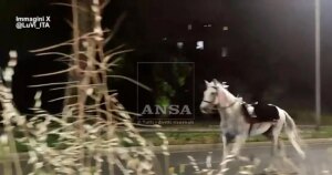 Tres heridos tras escaparse 30 caballos asustados por unos fuegos artificiales en Roma