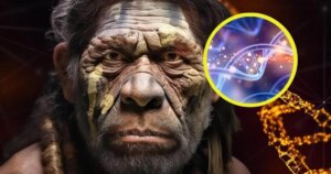 Un análisis revolucionario de dientes fósiles hallados en Francia desmonta la teoría clásica sobre la evolución de los neandertales