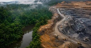Un estudio alerta de que el 83% del níquel para la energía limpia podría destruir uno de los ecosistemas más ricos del planeta 