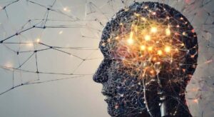 Una sola exposición a un compuesto psicodélico de origen natural puede modificar el funcionamiento del cerebro humano