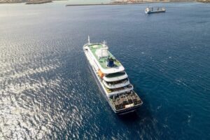 ¿Qué es el hantavirus y por qué genera alarma el brote en el crucero MV Hondius?