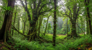 Advierten que las plantas en los trópicos absorben menos CO2 de lo que se pensaba: las consecuencias climáticas
