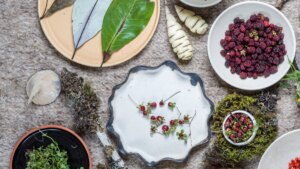 Afluente, el restaurante de Bogotá que pone el páramo en la mesa