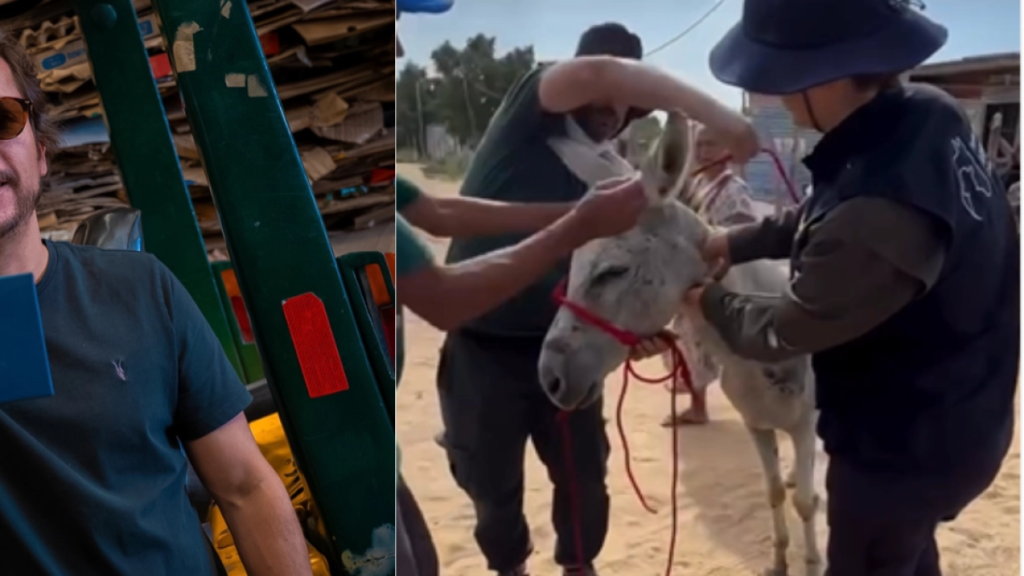Alejandro Riaño adopta a Ismael Rivera y convierte su historia en un llamado por los burros olvidados de La Guajira: 'Aquí empieza tu nueva vida. '