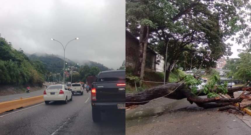 Árboles caídos y largas colas: Colapso en Caracas y Miranda tras fuertes lluvias en la madrugada del 15 de junio
