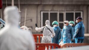 Argentina halla hantavirus en roedores en Ushuaia pero descarta nexo con brote de crucero | elperiodico.com