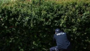 Asesinado el artista opositor ruso Robert Kuzovkov, conocido bajo el seudónimo de Semion Skrepetski | elperiodico.com