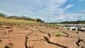 Autoridades de Falcón esperan menos lluvias por el fenómeno de El Niño