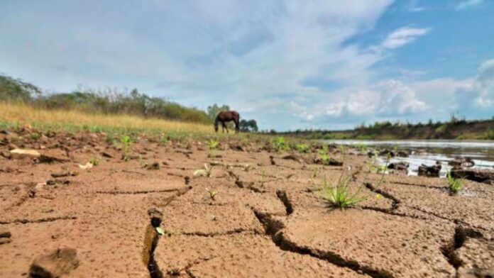 Autoridades de Falcón esperan menos lluvias por el fenómeno de El Niño
