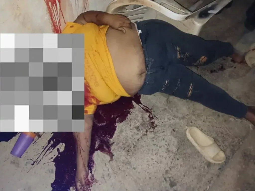 Capturan  a alias "El Nene" por el homicidio de una mujer en Falcón 