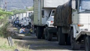 Consetransporte busca «tener data real de las regiones frente a problemas del sector»