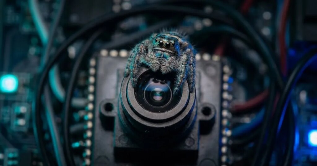 Crean una cámara 3D que copia los ojos de una araña para consumir menos que una bombilla