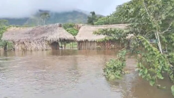 Crecida de río en Amazonas generó el desplazamiento de la comunidad Yanomami