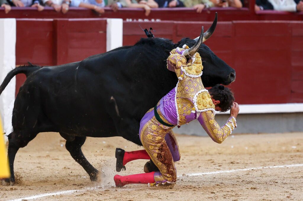 Víctor Hernández, en un momento de la dramática voltereta que sufrió al recibir de capa al sexto toro.