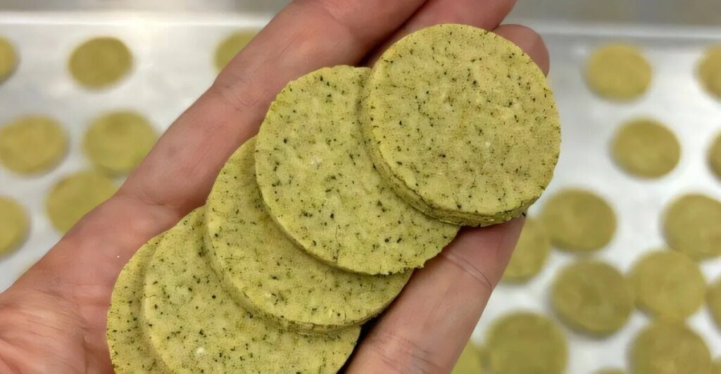 Descubren que solo un 1% de esta alga mejora las galletas sin gluten: más proteínas, fibra y antioxidantes
