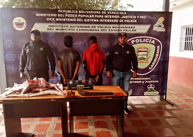 Detenidos dos jóvenes por cometer delito de abigeato en Falcón