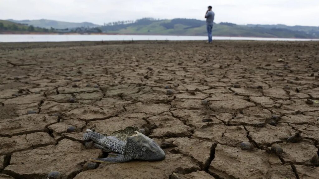 Duchas de 4 minutos y riego de jardines al amanecer: medidas urgentes que piden las autoridades para enfrentar el fenómeno de El Niño en el Valle