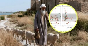 El análisis isotópico y de colágeno de 20 dientes animales revela secretos inesperados del pastoreo en la Ruta de la Seda