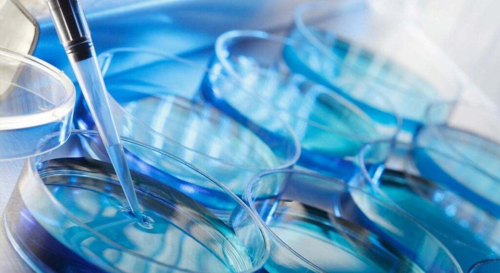 El descubrimiento que sorprende a toda la comunidad científica: una conexión directa entre mitocondrias y núcleo que regula el suministro de energía celular