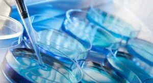 El descubrimiento que sorprende a toda la comunidad científica: una conexión directa entre mitocondrias y núcleo que regula el suministro de energía celular