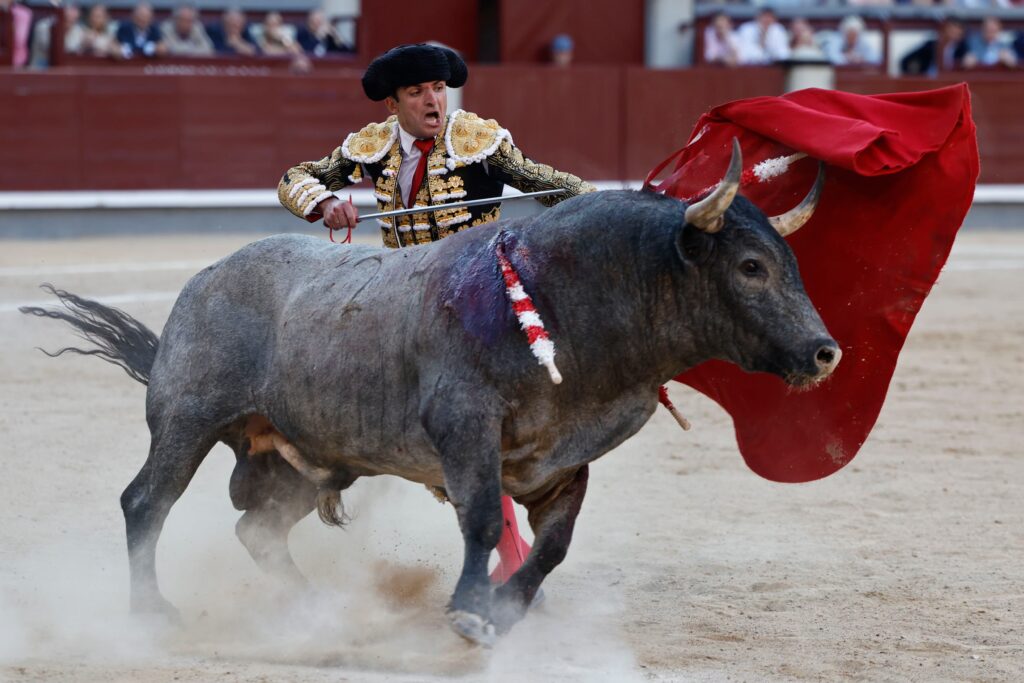 Damián Castaño, durante su 'pelea' con el quinto toro de la tarde.