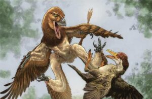 El misterioso depredador aéreo que cazaba a los primeros pájaros