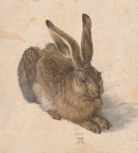 El museo Albertina celebra su 250 aniversario: un “pequeño milagro” de la conservación artística que surgió a partir de una historia de amor