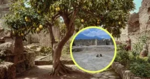 El negocio verde de Pompeya: la arqueología cartografía los 35 huertos comerciales que florecieron entre las ruinas del terremoto del 62 d. C.