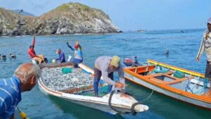 Entregan créditos para potenciar nivel de pesca en Nueva Esparta