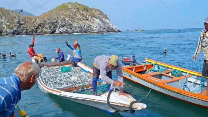 Entregan créditos para potenciar nivel de pesca en Nueva Esparta