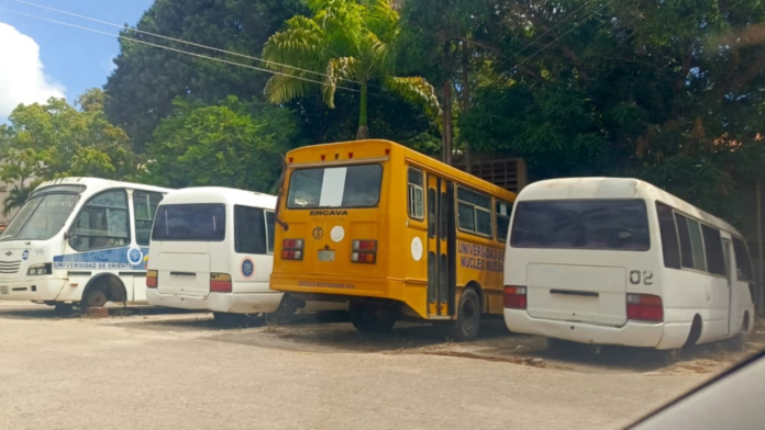 Estudiantes de UDO Nueva Esparta piden al gobierno recuperar unidades de transporte