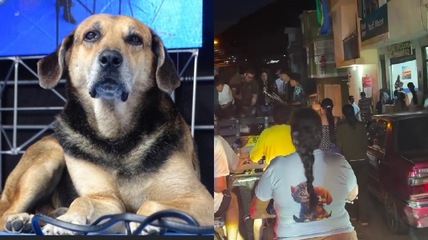 Falleció perrito muy querido en un pueblo de Colombia y le dieron el último adiós con un sepelio masivo